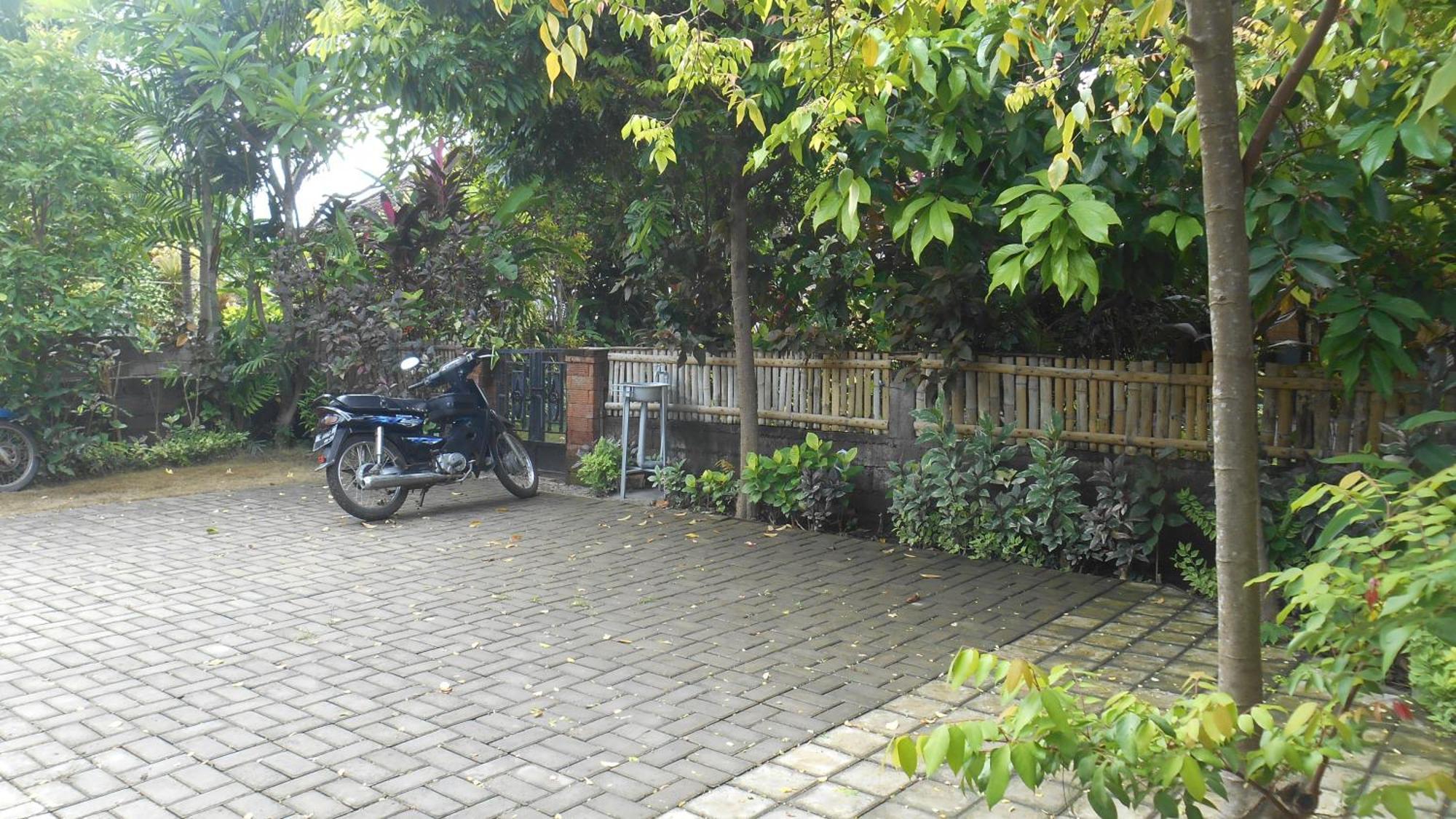 Taman Menjangan Homestay By Snorkelingmenjangan Banyuwedang Exteriör bild