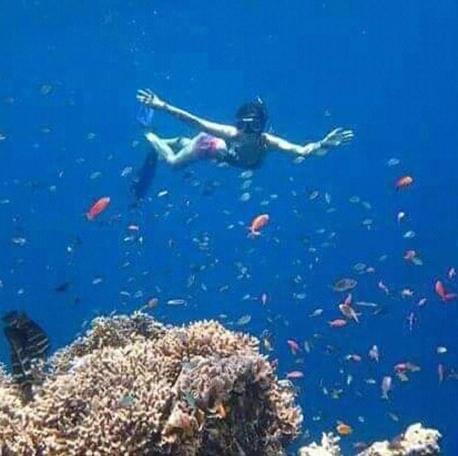 Taman Menjangan Homestay By Snorkelingmenjangan Banyuwedang Exteriör bild